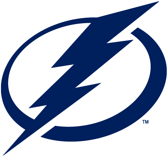 Tampa Bay Lightning 2011-Pres Primary Logo iron on transfers for clothing
